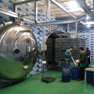 SY-LG Food Freeze Dryer (50㎡)