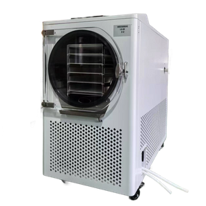 SY-LG-09 1kg Food Freeze Dryer