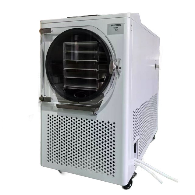 SY-LG-09 1kg Food Freeze Dryer