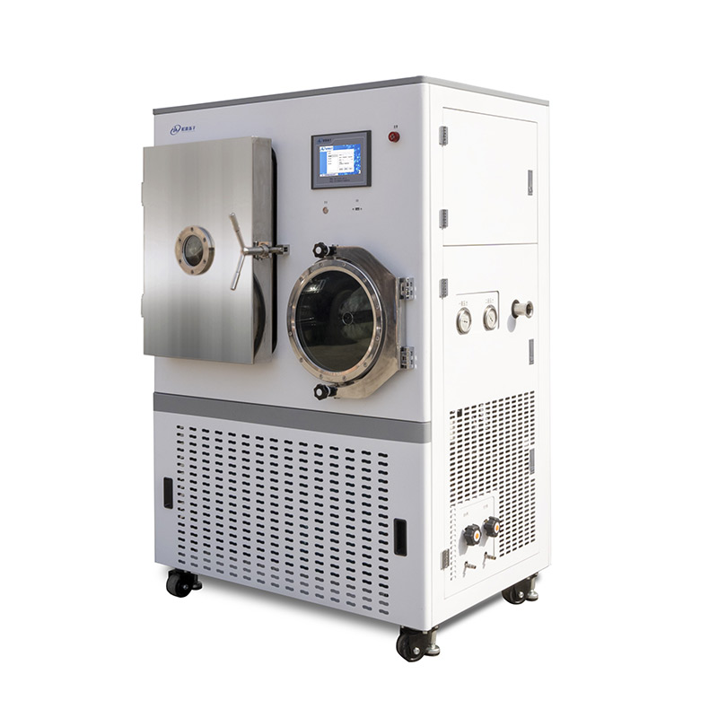 Industrial vacuum pump connected to a modern freeze drying system
