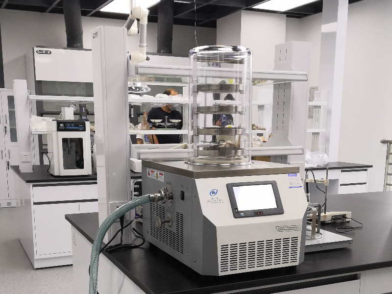 Pharmaceutical Development